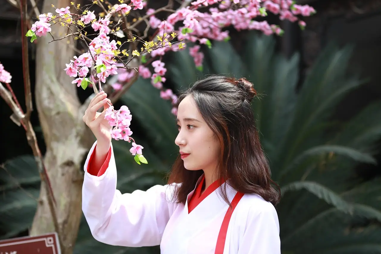 Splendeur de Chine