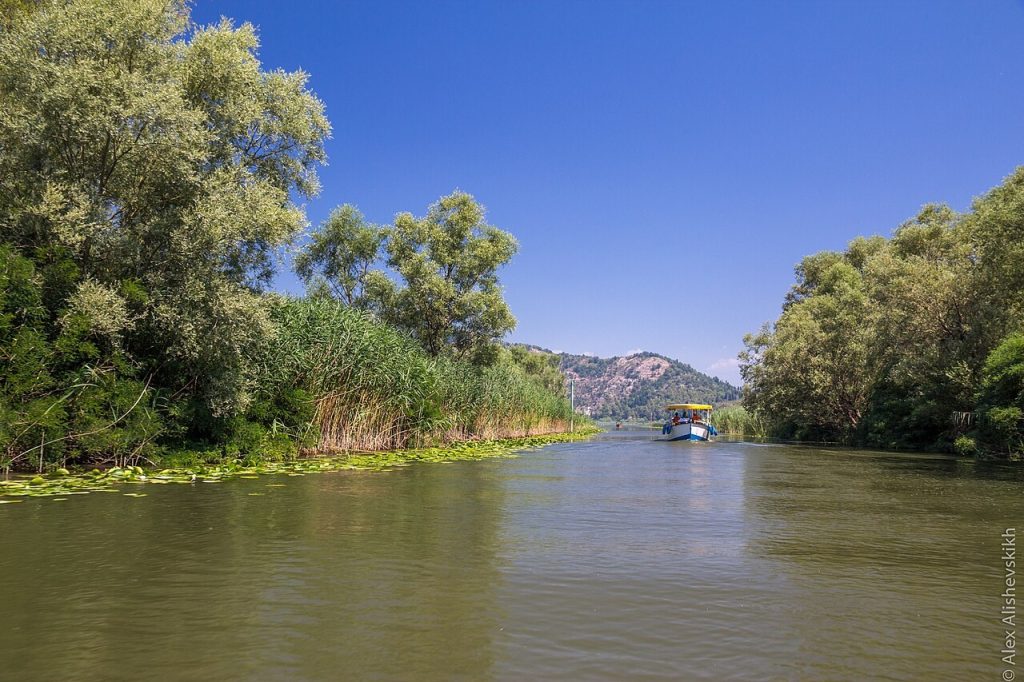 Lac de Skadar, près de Virpazar