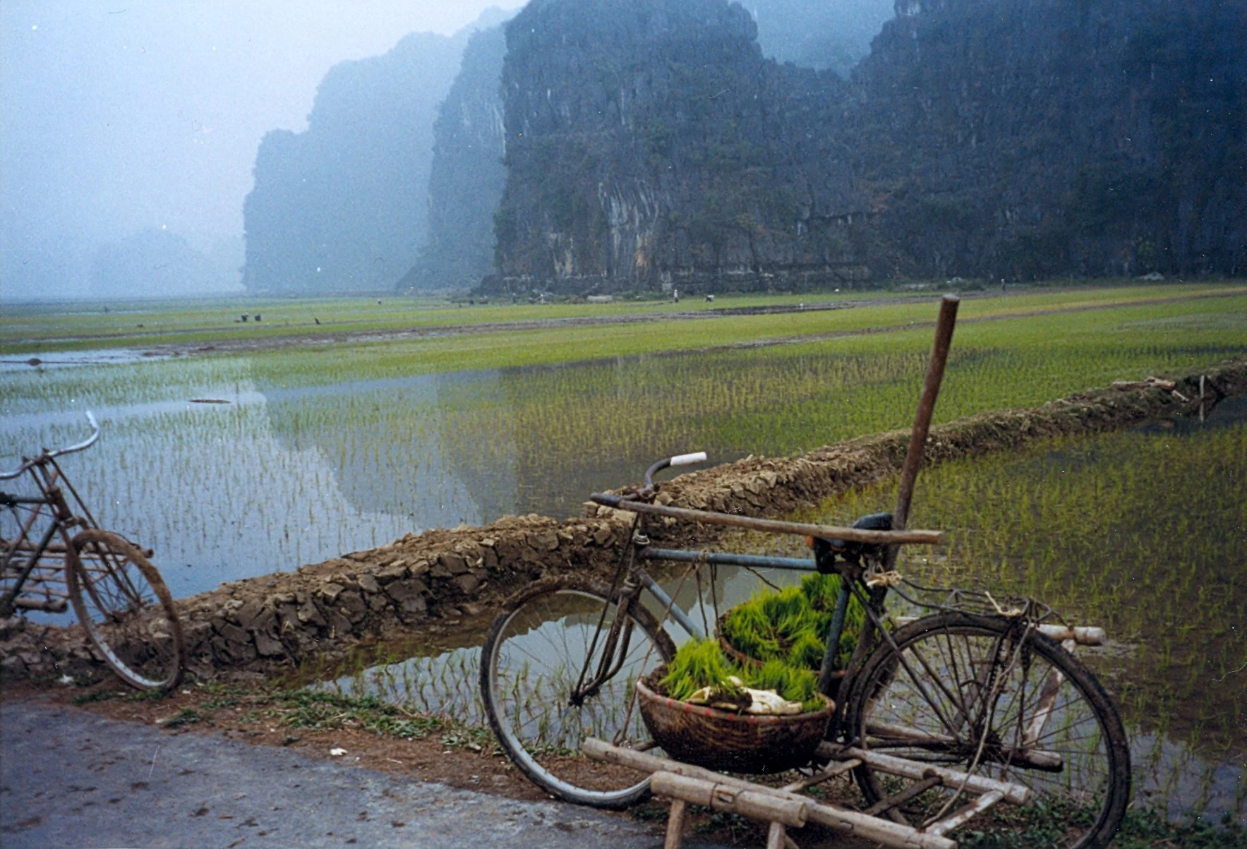Paysages de Tam Coc